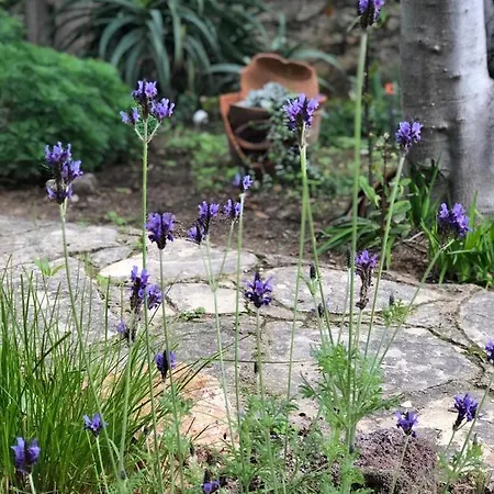 فيلة Casa Felix *